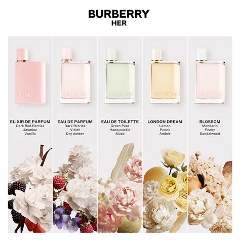 burberry her parfum composition|burberry her perfume 5 oz.